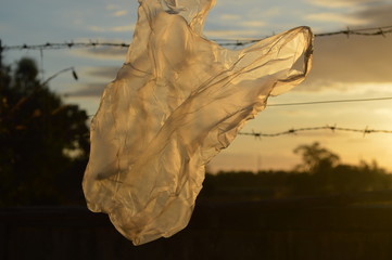 Old plastic bag That affect the sun