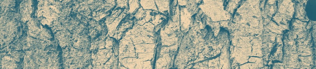 abstract celadon and beige texture background with copy space for design