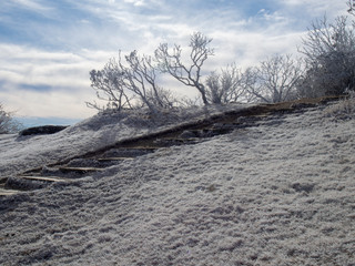 Icy Stairway