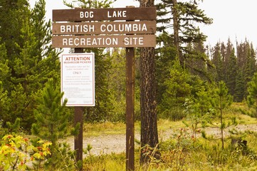 Bog Lake recreation site sign and mushroom picking warning