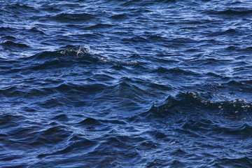 Waves on the sea water in asia