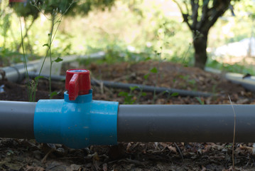 Fototapeta na wymiar Water valve connects to PVC pipe in the garden.