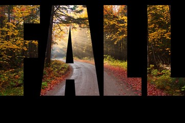 Road in Baxter State Park during Fall, with Clipping mask with text Fall