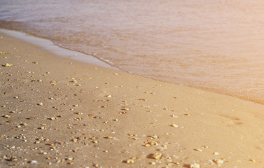 Beach. Waves. Summer time concept.