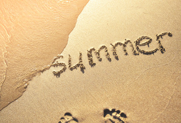 summer background