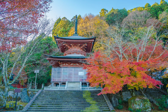 法輪寺」の写真素材 | 453件の無料イラスト画像 | Adobe Stock