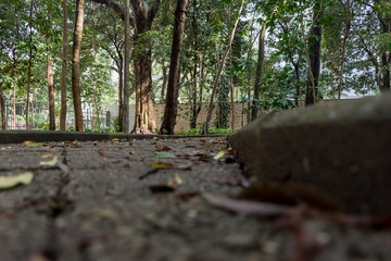 Fototapeta premium Concrete path