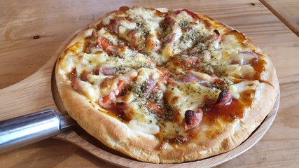 pizza with salami and cheese