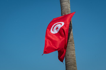 Tunisian flag in a palm trunk, Monastir