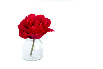 A red rose in a glass bottle