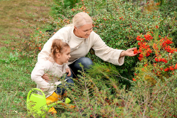 Cute little girl with grandmother working in garden