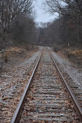 Fototapeta premium Railroad Track