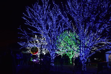 Christmas Light Show