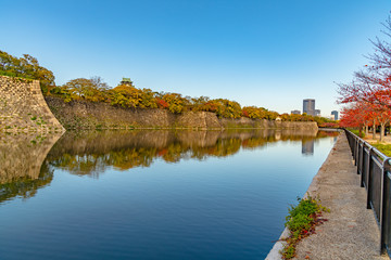 秋の大阪城の外濠