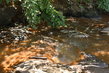 Little stream,Water in a forest and stones