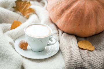.autumn mood: pumpkin and cocoa on the windowsill in October