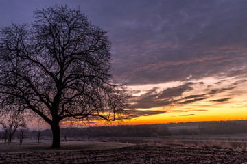 Fototapeta na wymiar Winterliche Landschaft im Sonnenaufgang