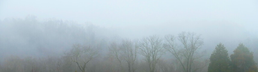 Obraz na płótnie Canvas ridge in heavy fog