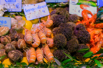 Selection of exotic gourmet seafood with clams, shrimp, langoustine, sea urchin for sale at a market in Luxembourg