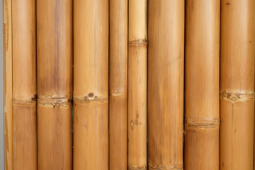 Vertical dry yellow bamboo wallpaper texture. Exterior home decoration in Asian country, Japanese, Chinese. Nature construction material. Background and surface concept.