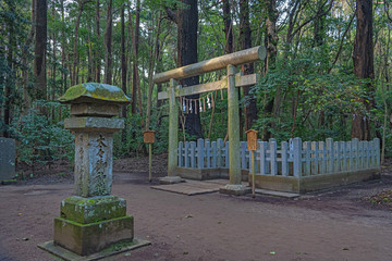 Fototapeta na wymiar 鹿島神宮 森の中の要石