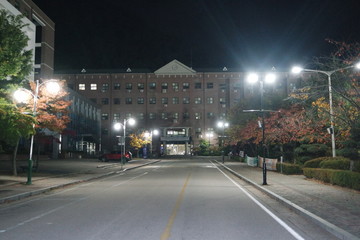 Night view of a paved pedestrian way or walk way with trees on sides