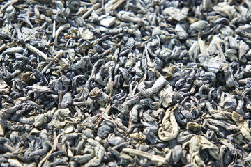 Close-up view of green tea dried leaves or stevia rebaudiana