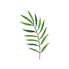 branch with leafs nature isolated icon