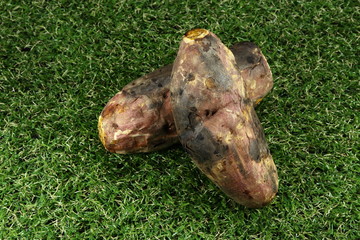 Obraz premium Roasted sweet potato on the grass field. Fresh and organic grilled yam root with burned peel. Healthy and diet menu.