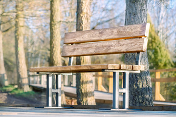 Naklejka premium Wooden bench in the park on sunny autumn day