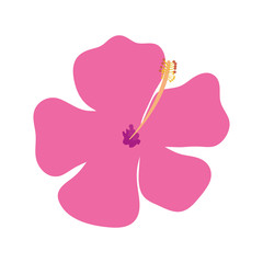 flower natural of pink color isolated icon