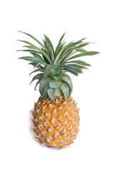 A pineapple stands alone on a white background.
