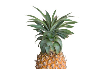 A pineapple stands alone on a white background.