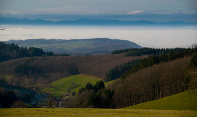 Blick vom Hünersedelturm in Freiamt in die Rheinebene und den Schwarzwald
