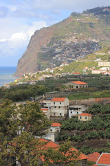 Fototapeta na wymiar The cliffs of Cabo Girao, near Funchal Town