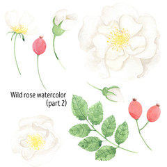 Wild rose watercolor bouquet white rose white flower wedding clipart