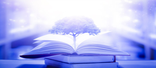 	 The concept of education by planting a tree of knowledge in the opening of an old book in the library and the magical magic of light that flies to the destination of success. Beautiful background