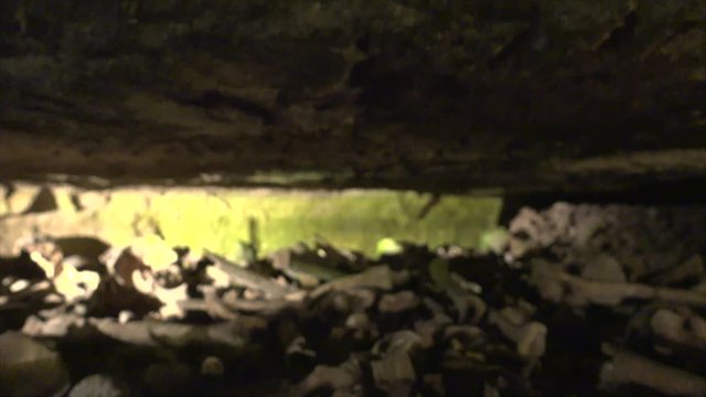 Skulls and bones stacked up in the Paris catacombs.