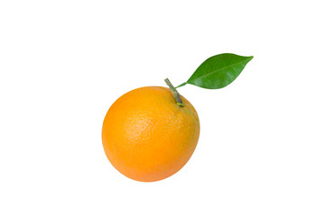 An orange with leaves is isolated on a white background.