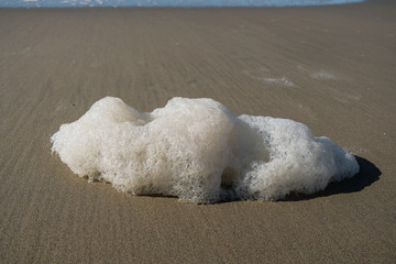 Polluted chemical sea foam on wild sea coast ecosystem,pollution contamination