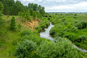 in the wild the cliff at the forest river