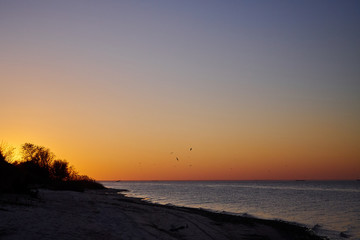 Fototapeta premium Sunset beach horizon sea ocean yellow orange purple blue sky and birds