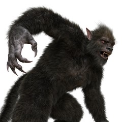 Obraz premium Lycan Werewolf isolated on white background 3d illustration