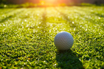 Golf ball on green grass in beautiful golf course