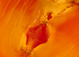Fresh ripe persimmons isolated on white background