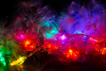 Fototapeta na wymiar A fragment of a luminous multi-colored Christmas garland and natural fluff on a black background