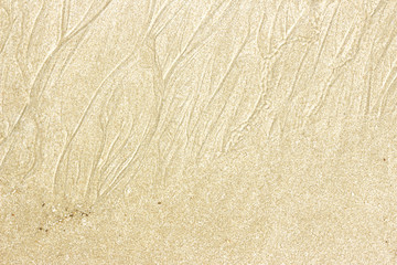 Pattern texture of sand on the beach