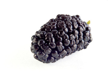 Mulberries berries close up on white background
