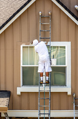 House painter paints the facade of a house standing on a ladder
