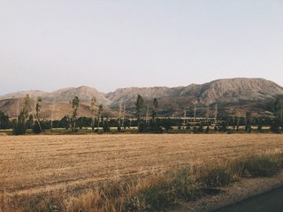 landscape